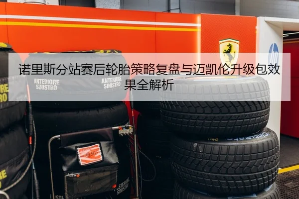 诺里斯分站赛后轮胎策略复盘与迈凯伦升级包效果全解析